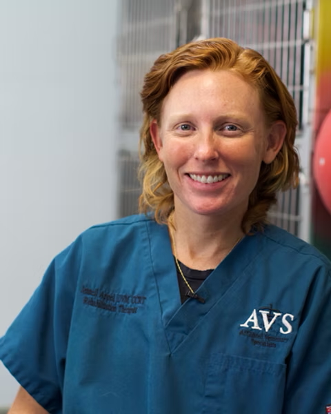 Veterinarian